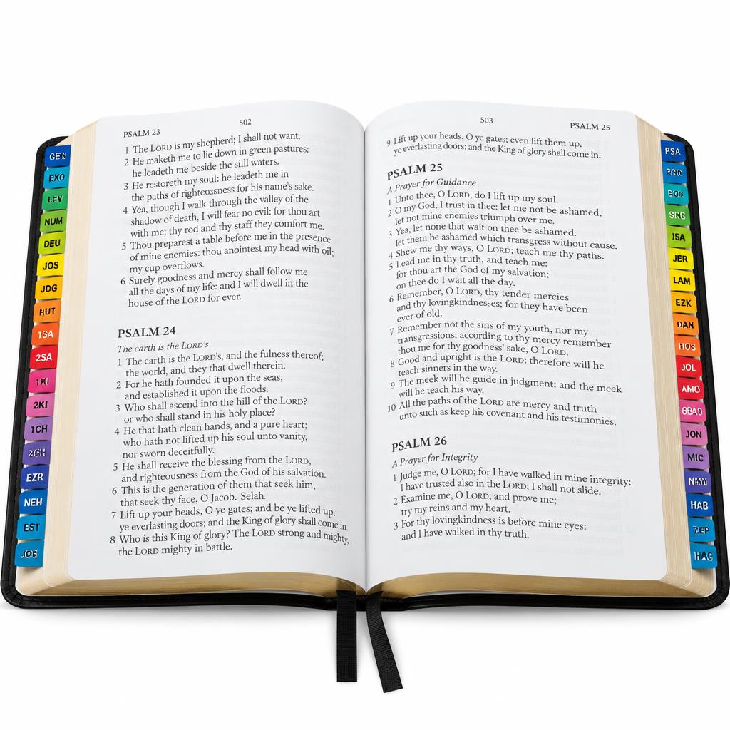 What the Bible Is All About